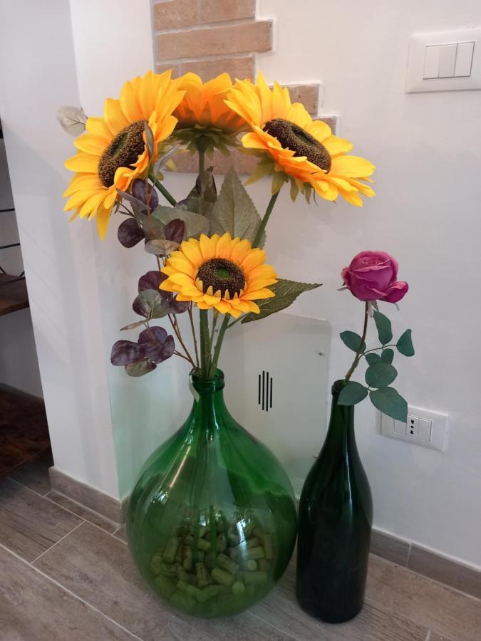 סולמונה In Vino Veritas מראה חיצוני תמונה